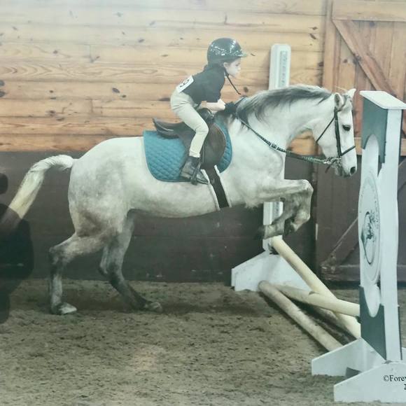 Meet your Posh ambassador Amanda - Picture 2 of 8